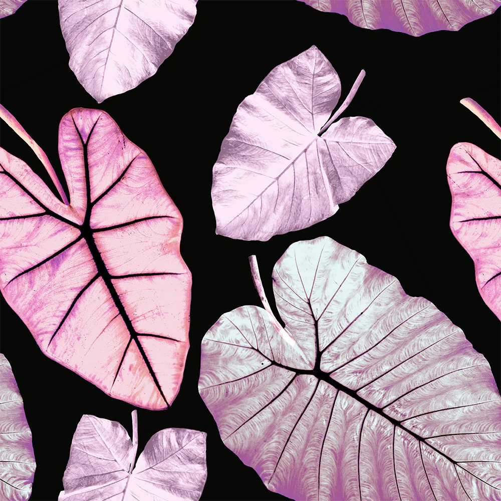 Alocasia Wallpaper - Image 2