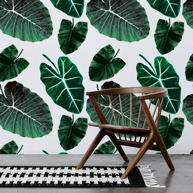 Alocasia Wallpaper - Image 3