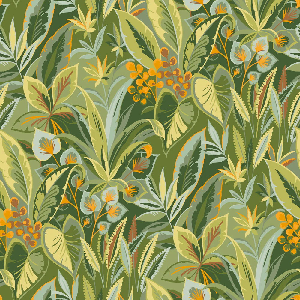 Amazon Wallpaper - Image 2