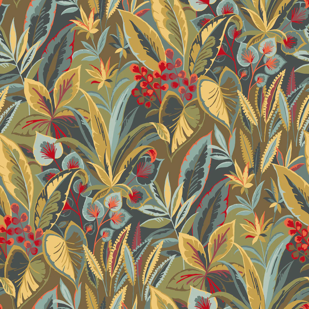 Amazon Wallpaper - Image 3