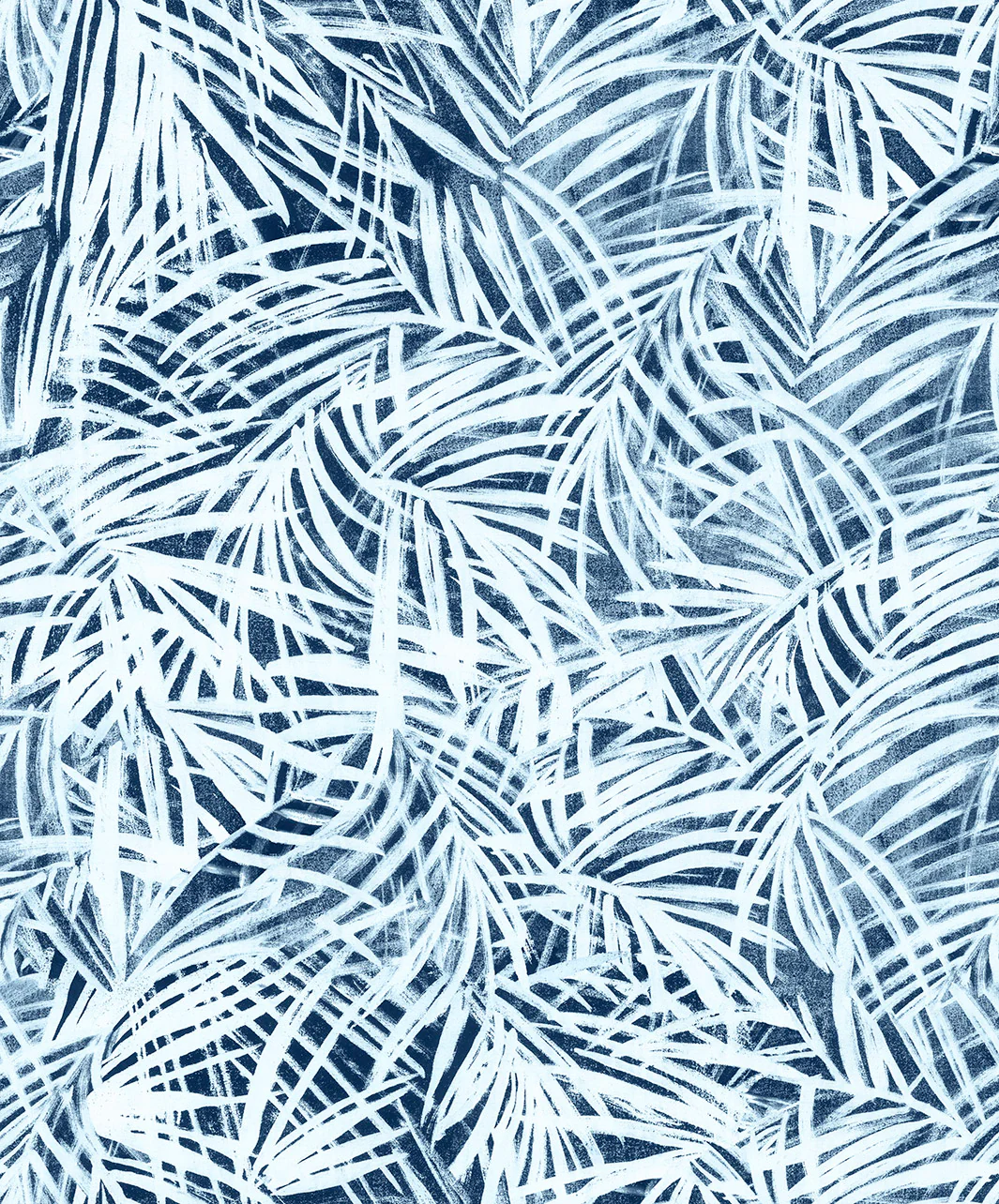 Areca Palm Wallpaper