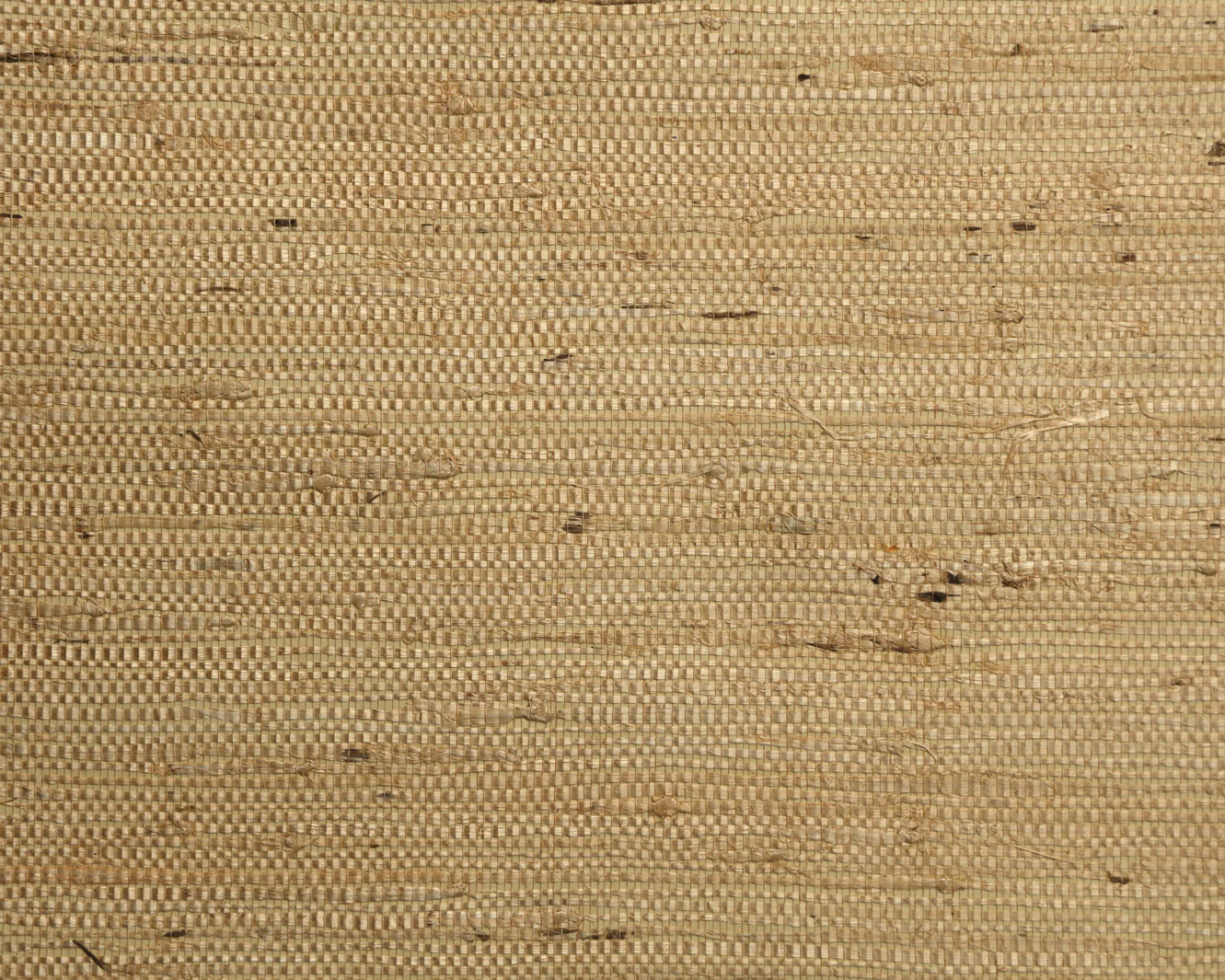 Arrowroot Fine Wallpaper - Parchment