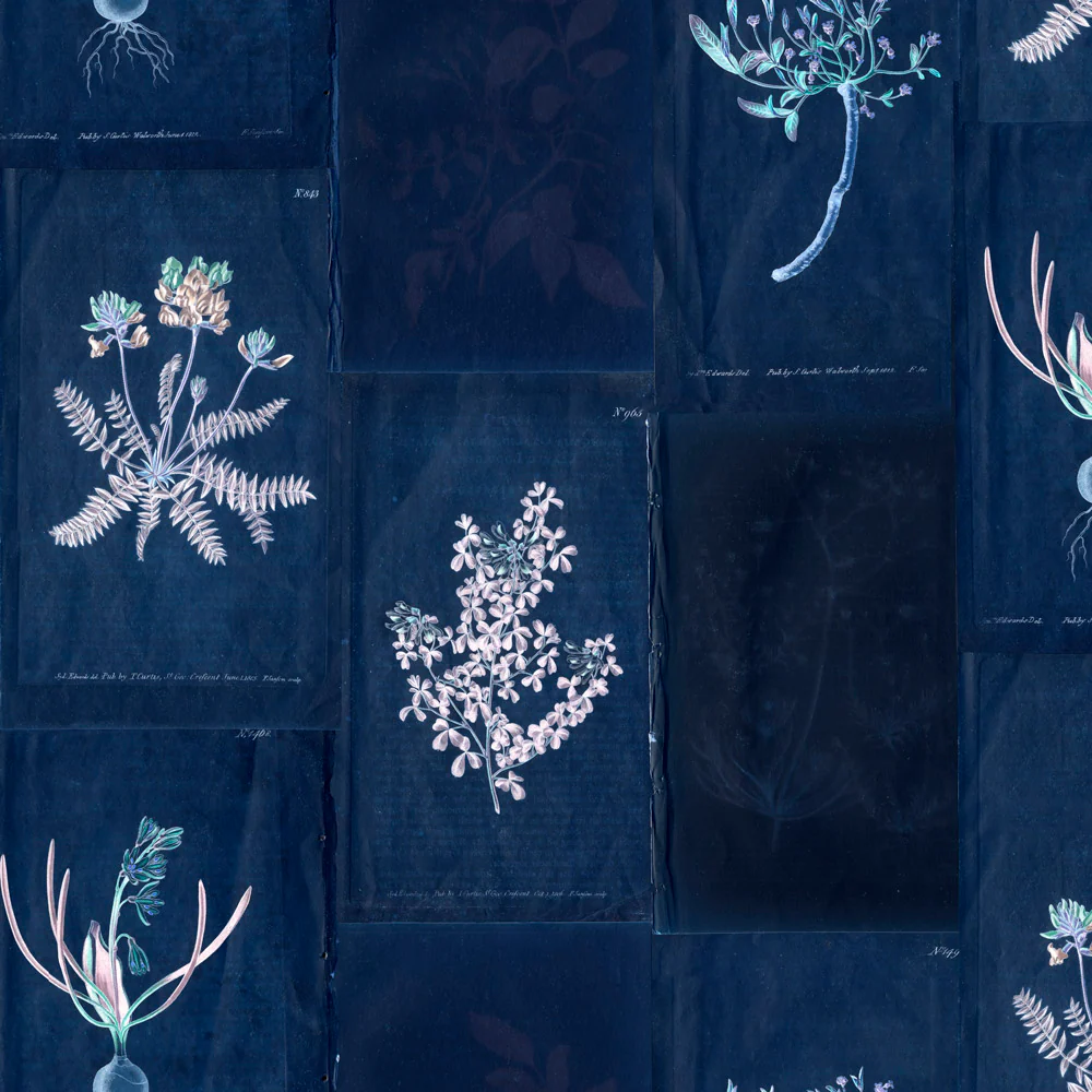 Botanical Collage Wallpaper