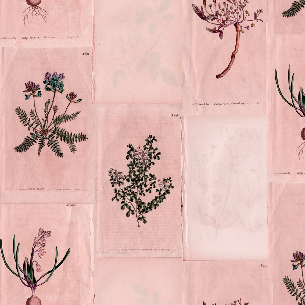 Botanical Collage Wallpaper - Image 2