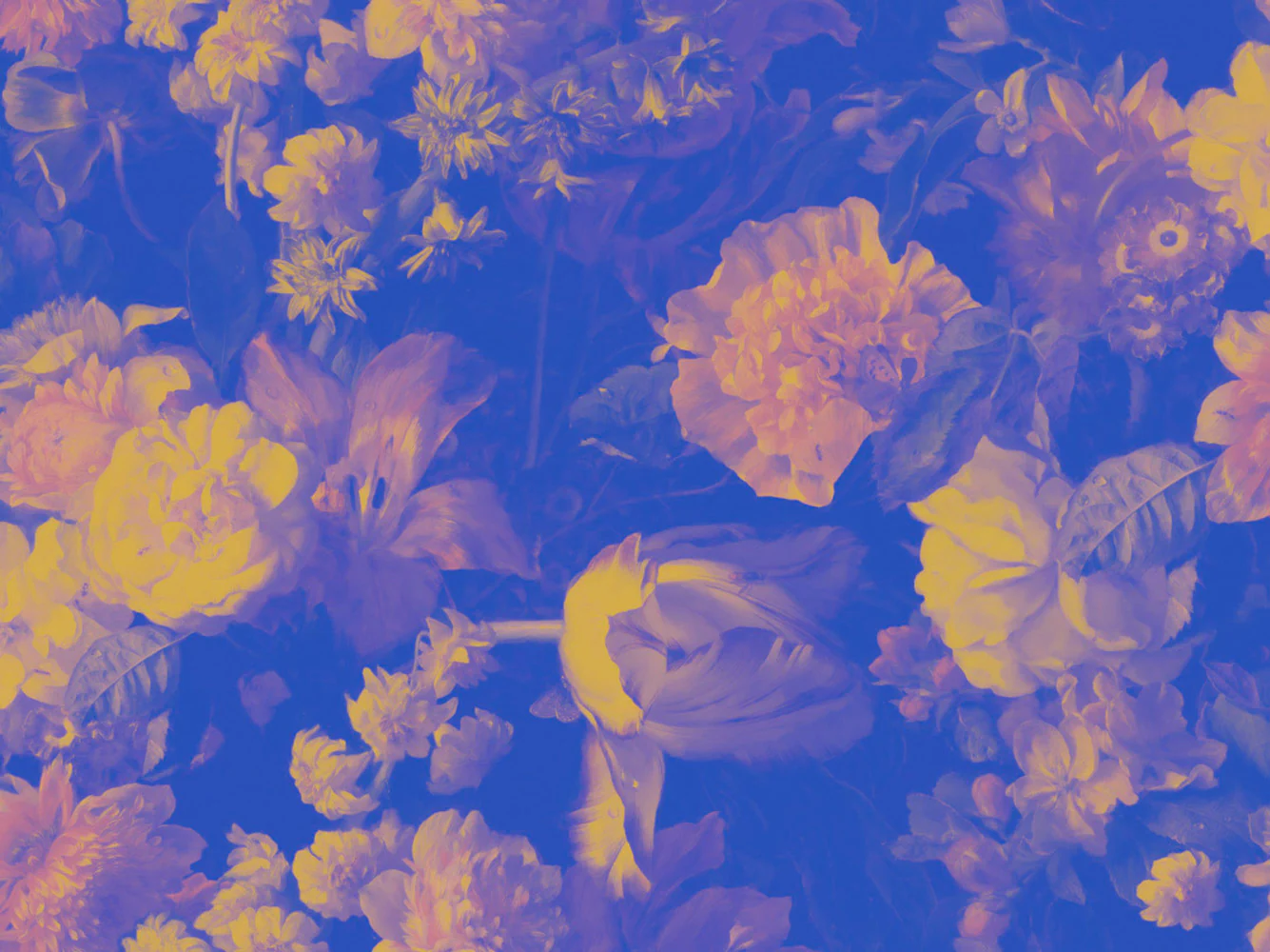 Chiaroscuro Wallpaper