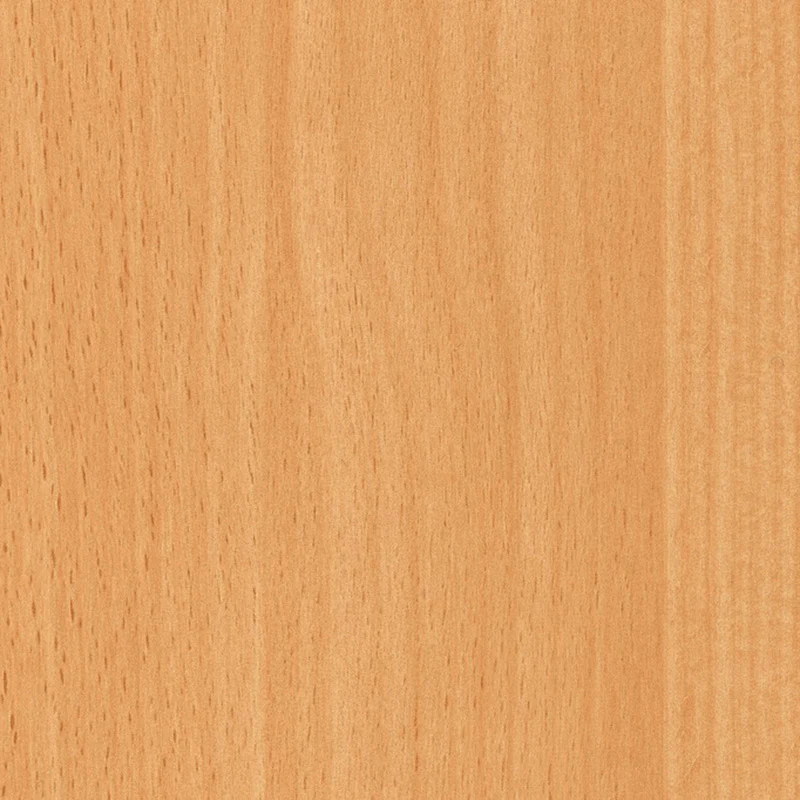 European Beech Contact Paper