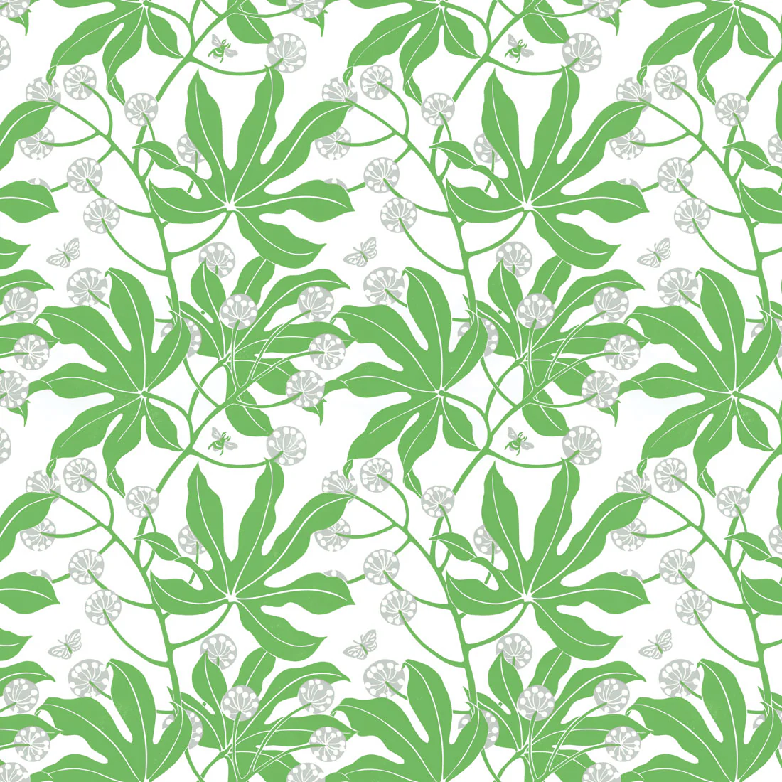 Fatsia Wallpaper