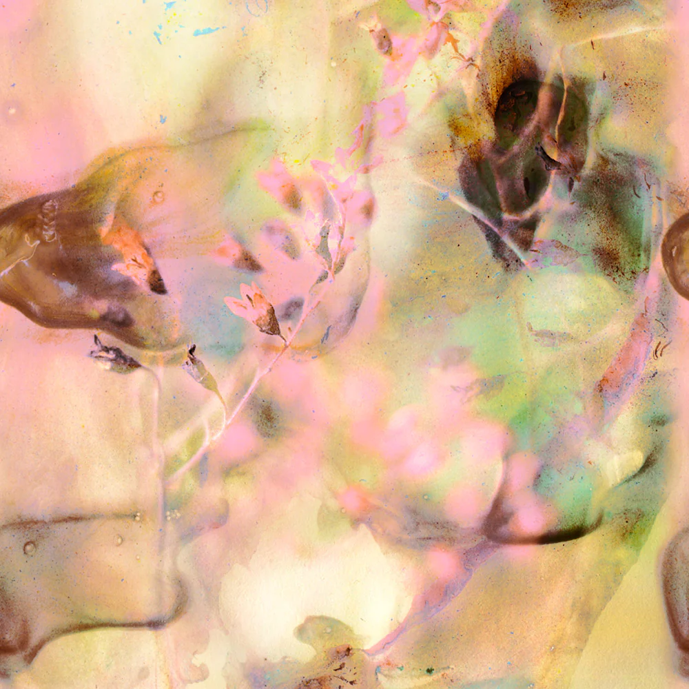 Juliet Wallpaper - Image 2