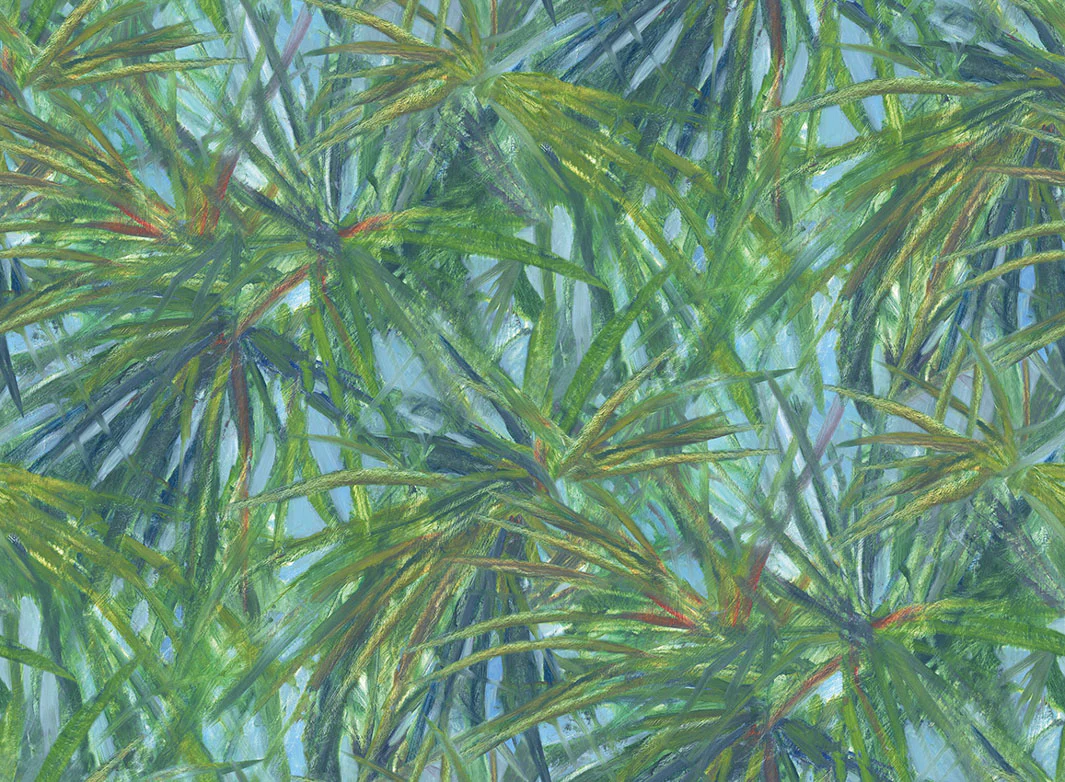 Matira Green Wallpaper