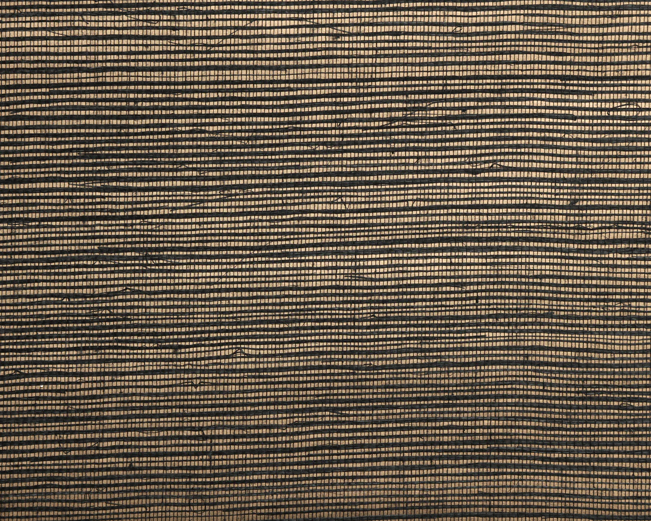 Metal Back Sisal Wallpaper - Black and Beige