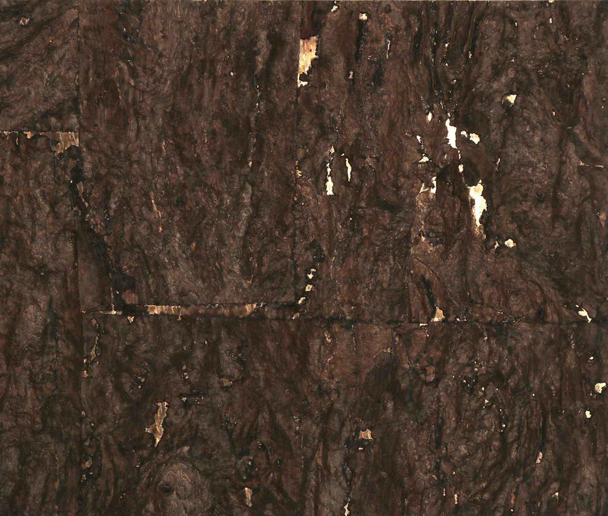 Mocha and Gold Cork Wallpaper