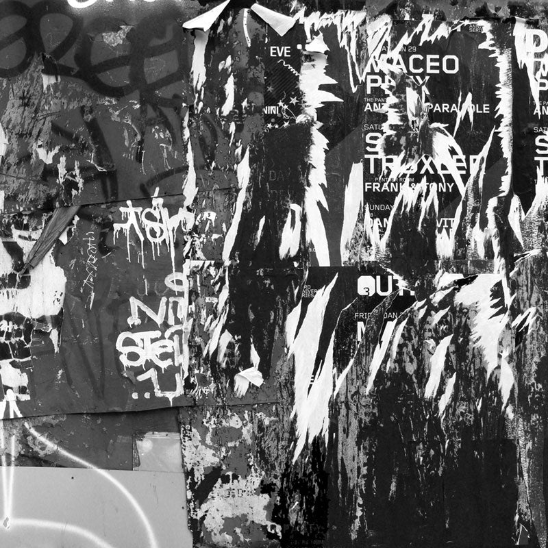Nostrand Mural - Image 3