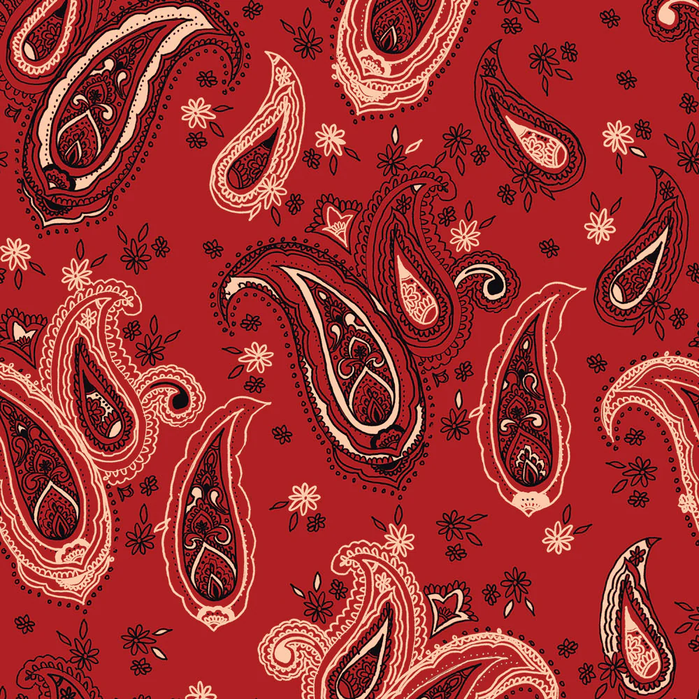 Paisley Wallpaper