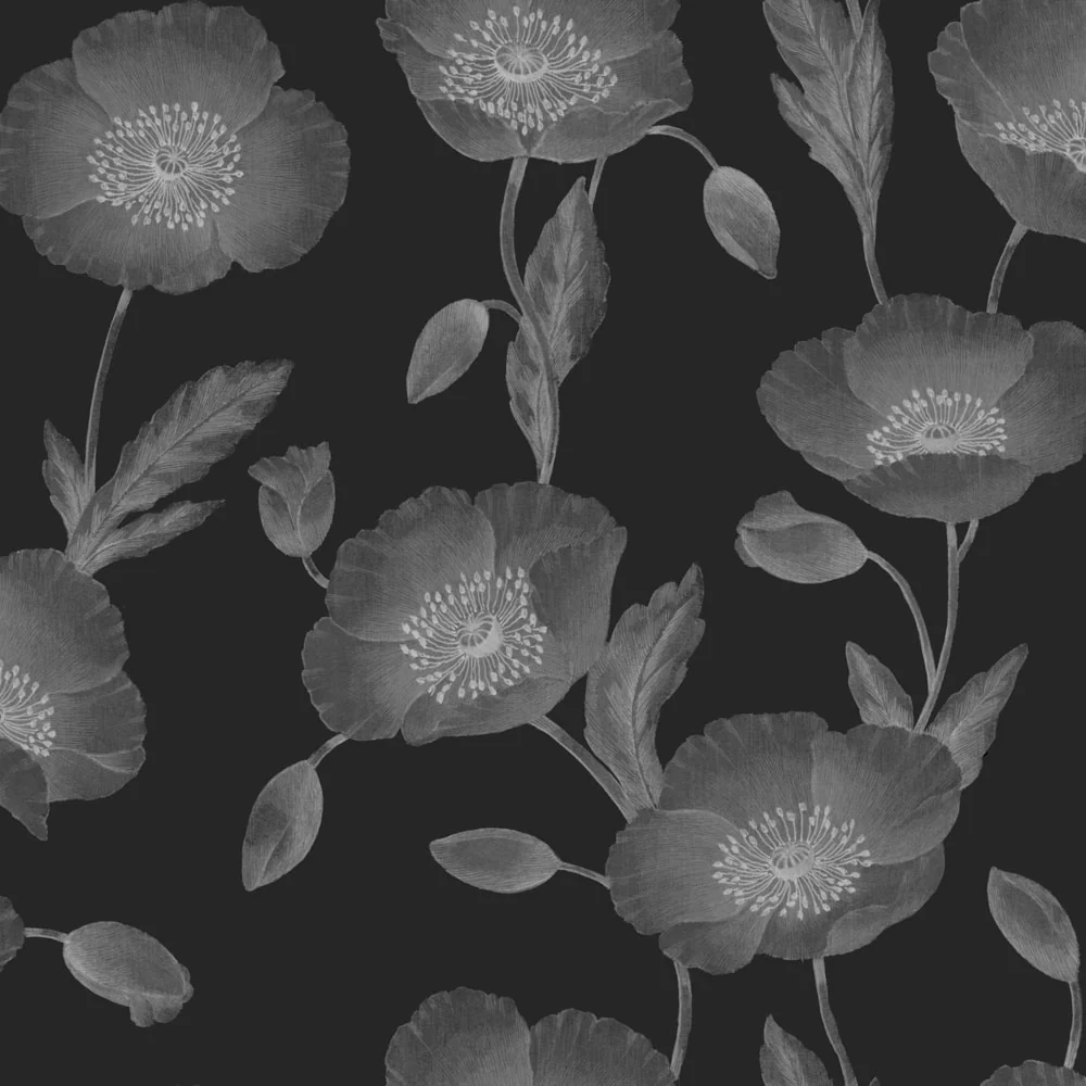 Papaver Wallpaper