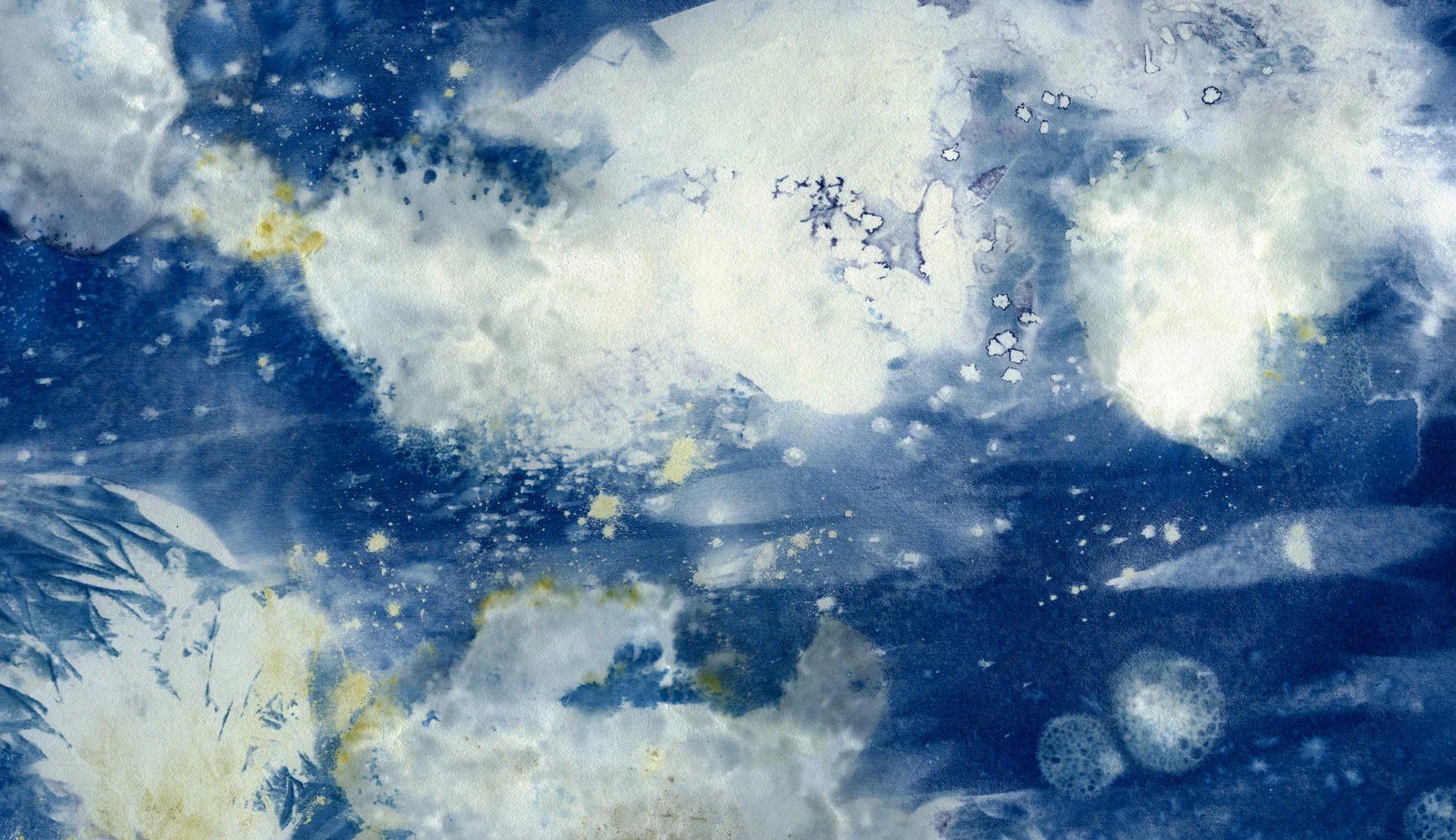 Photogram 11 Mural