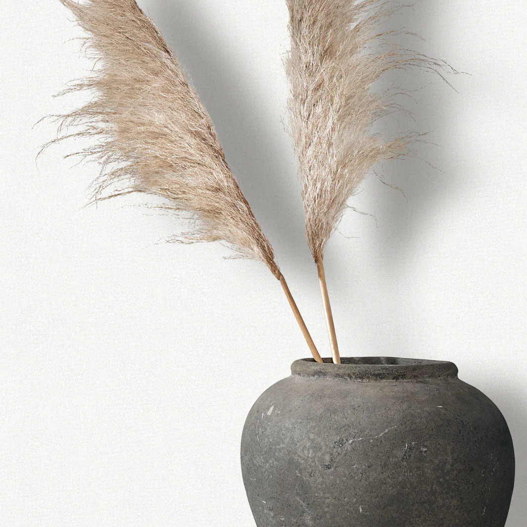 Quiet Veil - Chalk Wallpaper - Image 4
