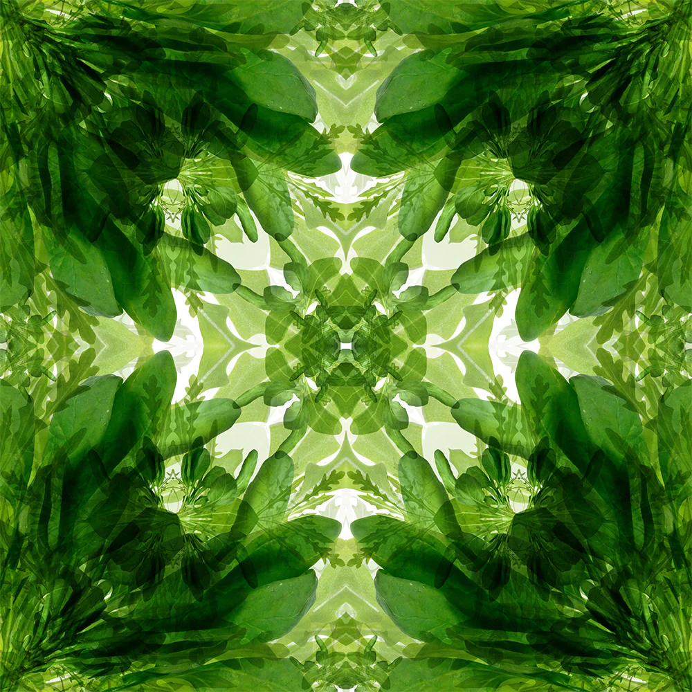 Salad Days Wallpaper - Image 2