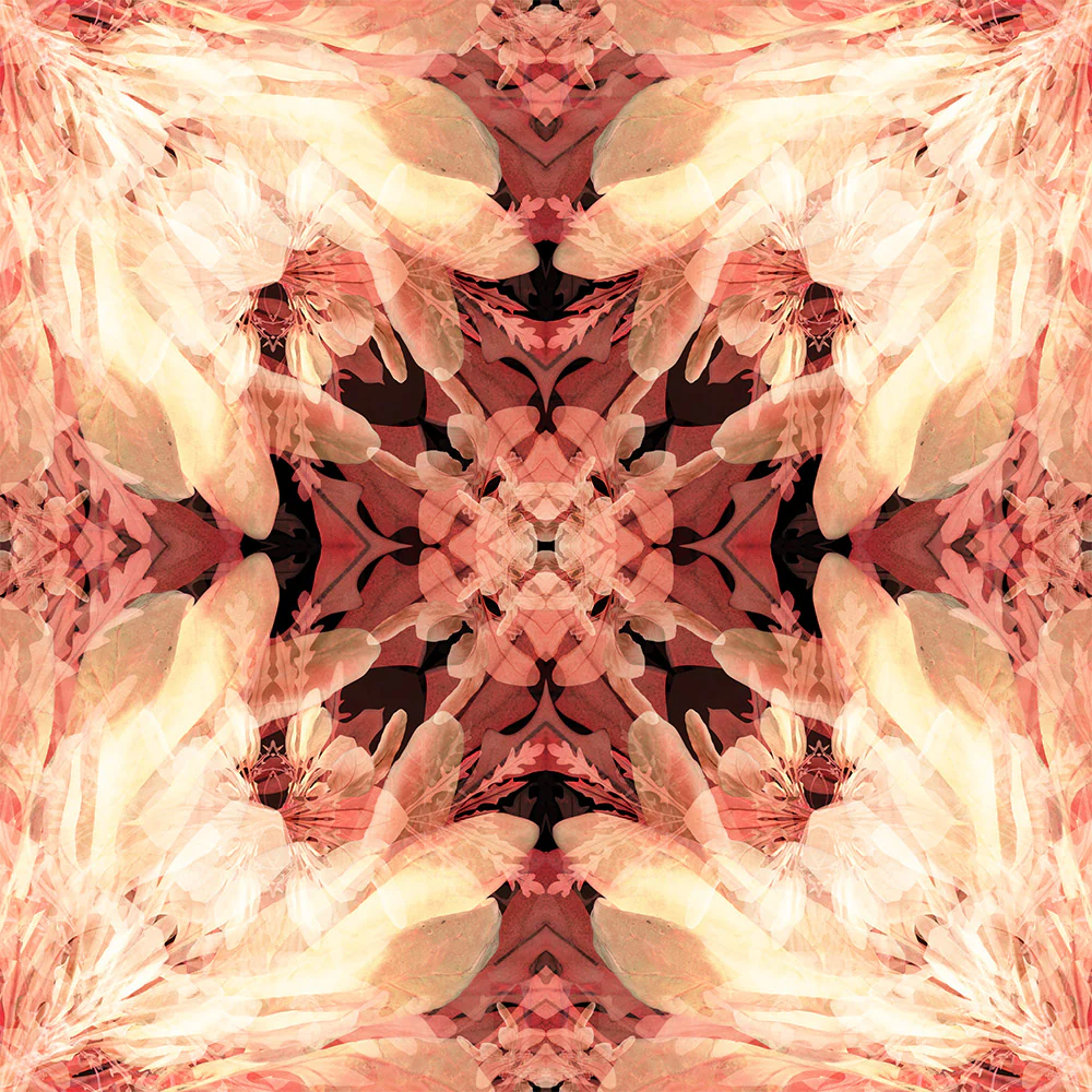 Salad Days Wallpaper - Image 3