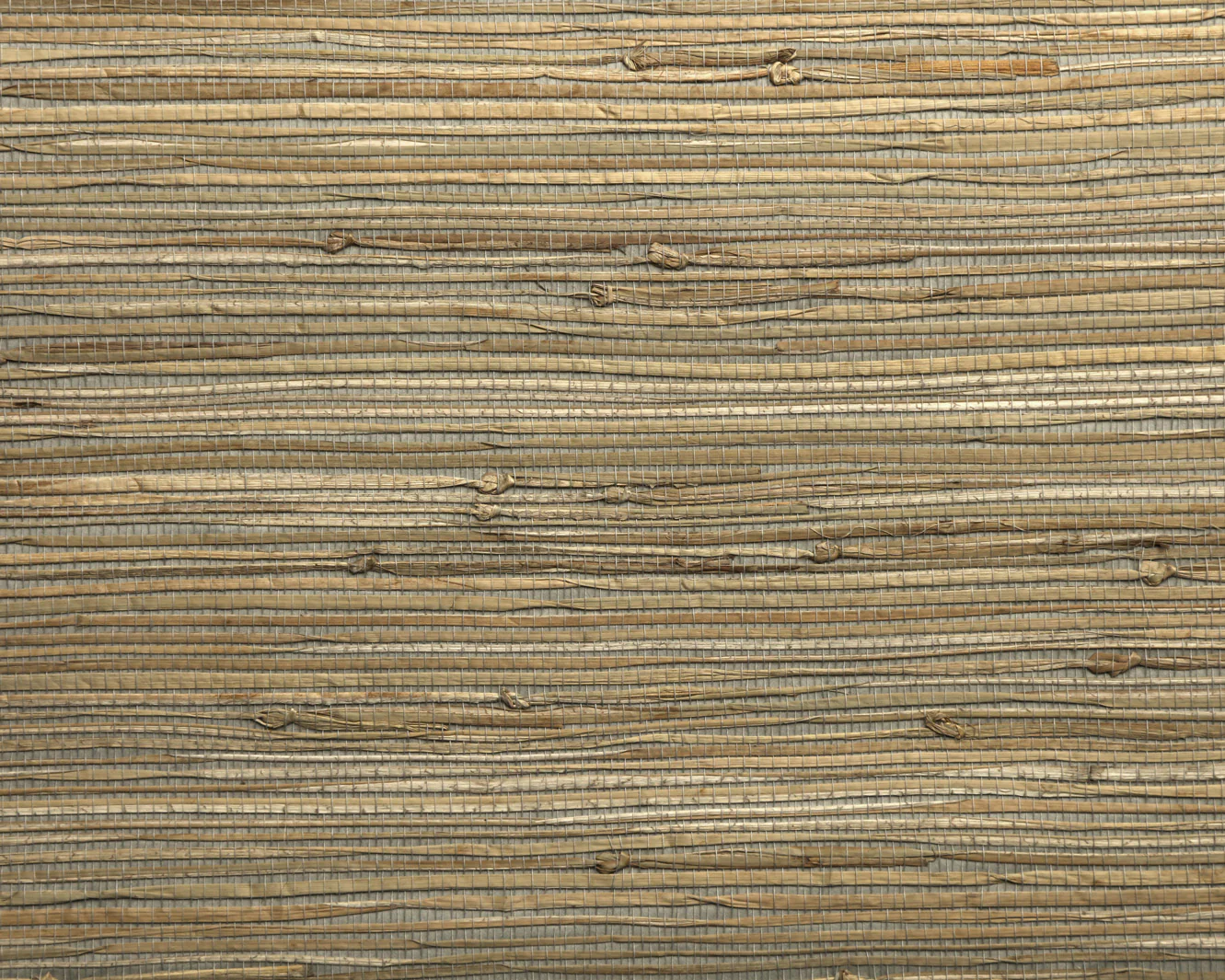 Sancho Fine Wallpaper - Blonde
