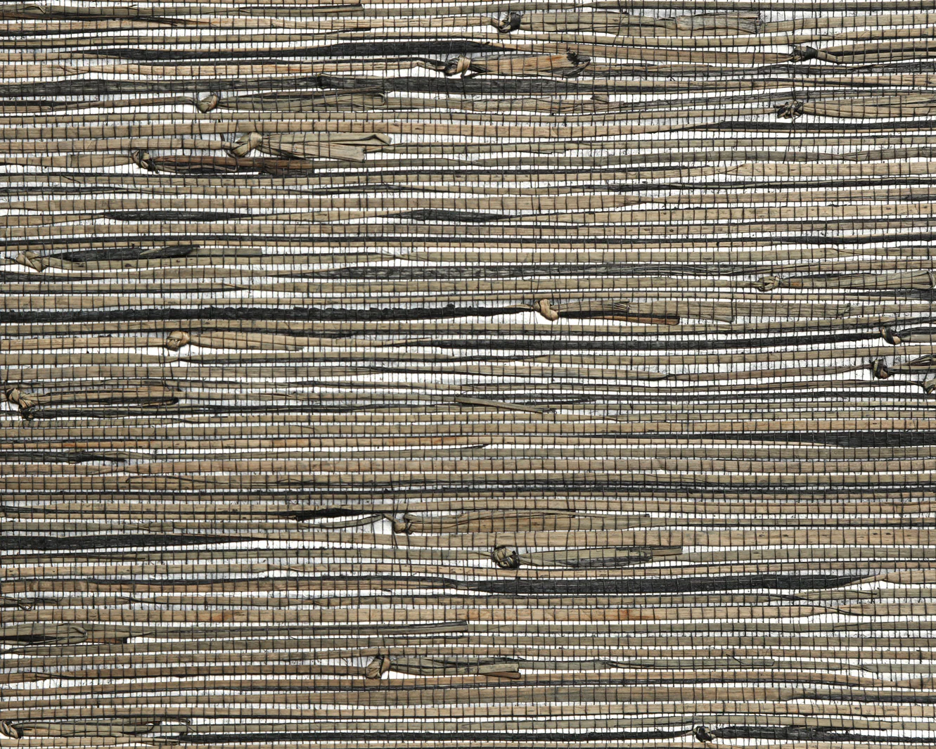 Sancho Fine Wallpaper - Tan