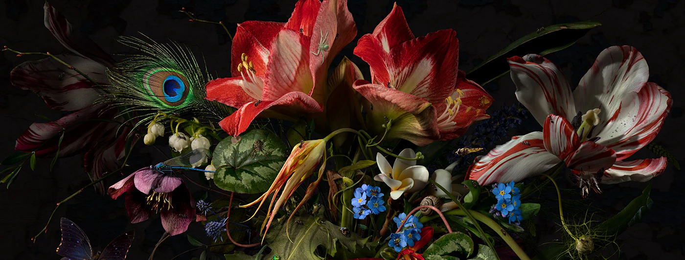 Still Life 8 Mural