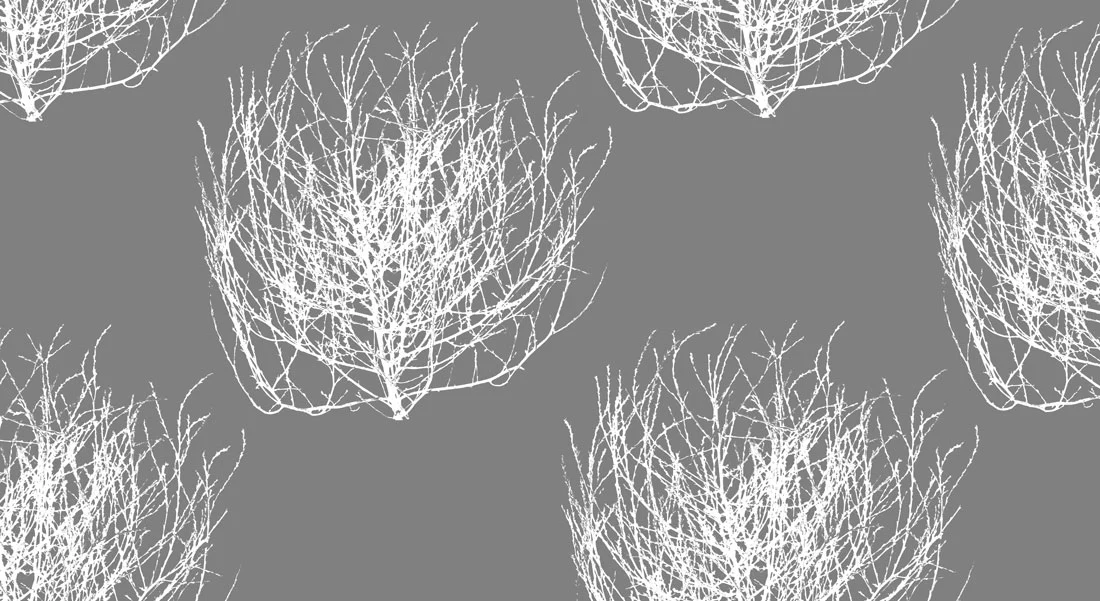 Tumbleweed Wallpaper - Image 2