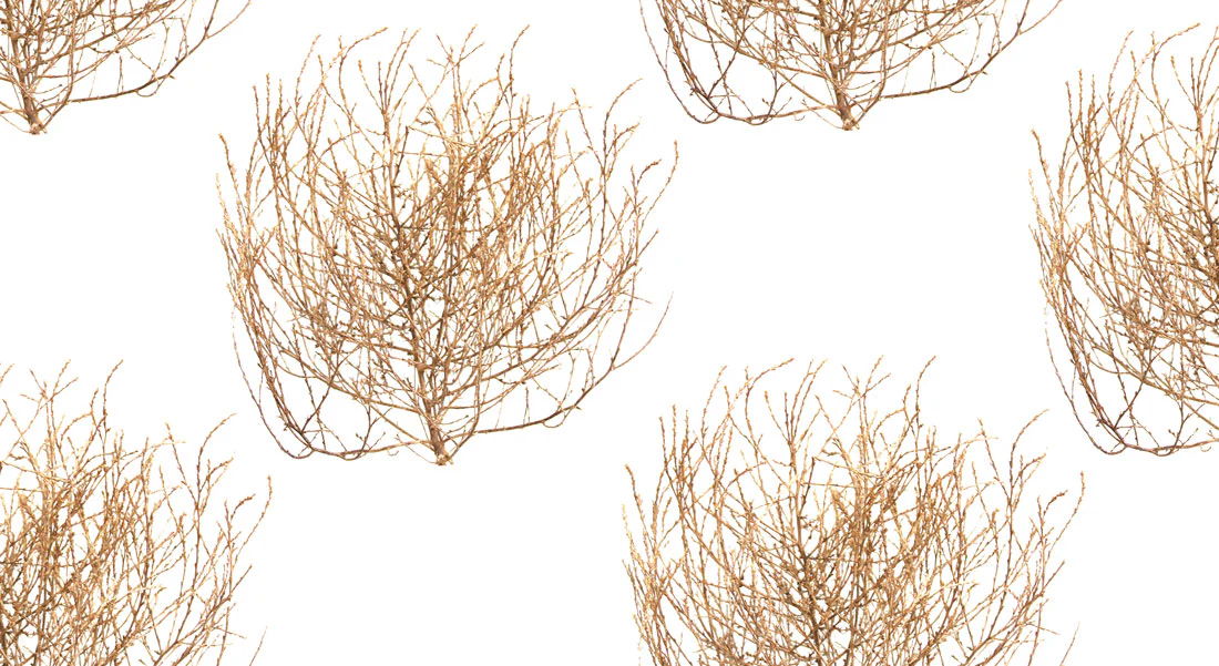 Tumbleweed Wallpaper - Image 3