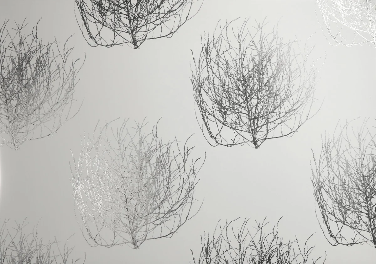 Tumbleweed Wallpaper - Image 6