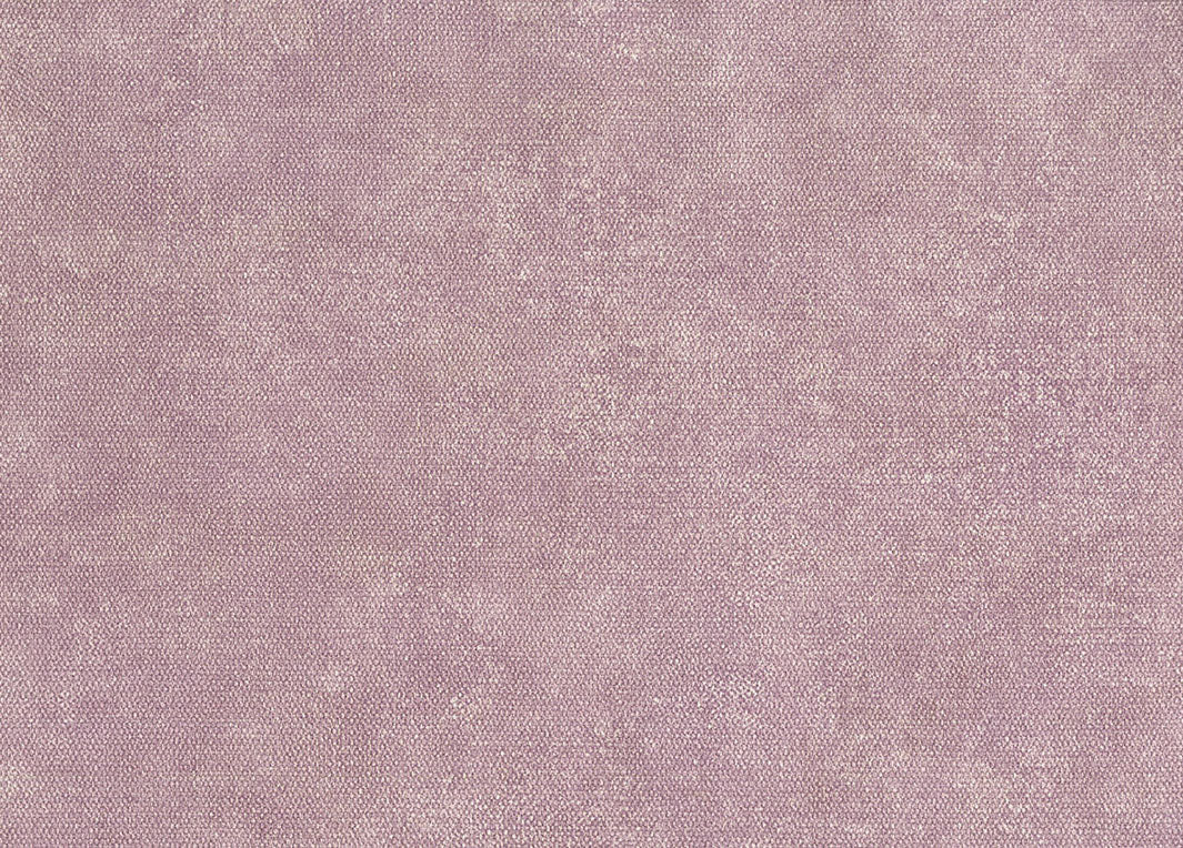 Unito Airone Wallpaper - 25670