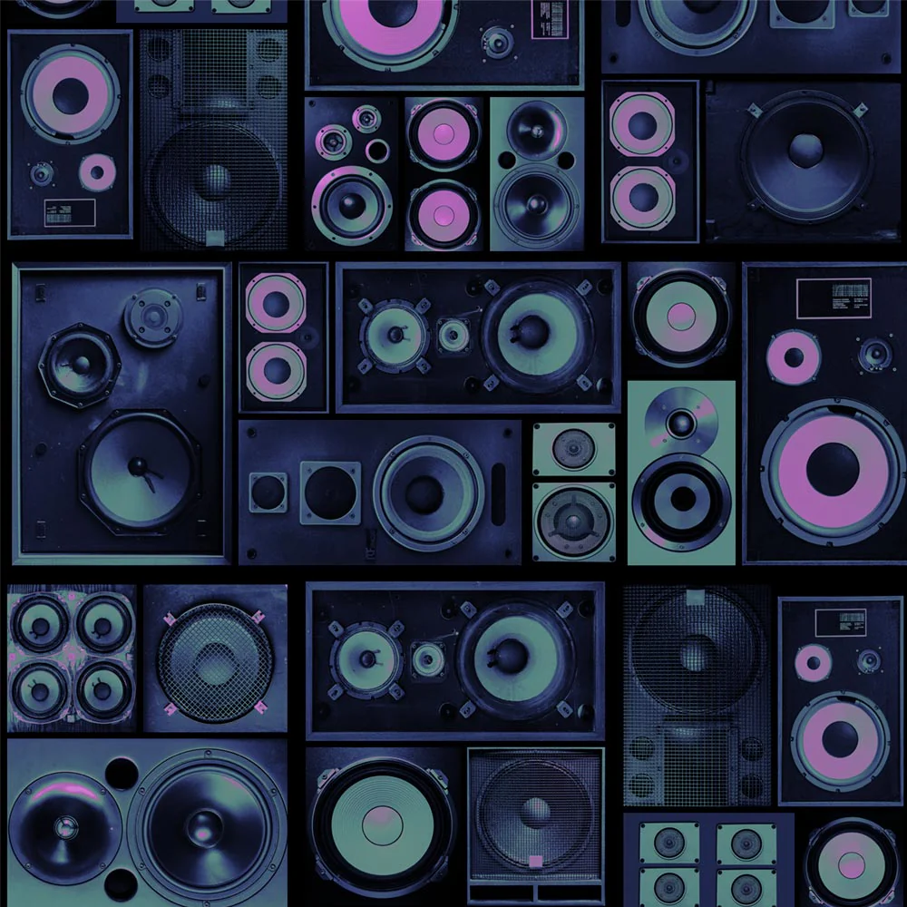 Wall of Sound Mural - Image 2