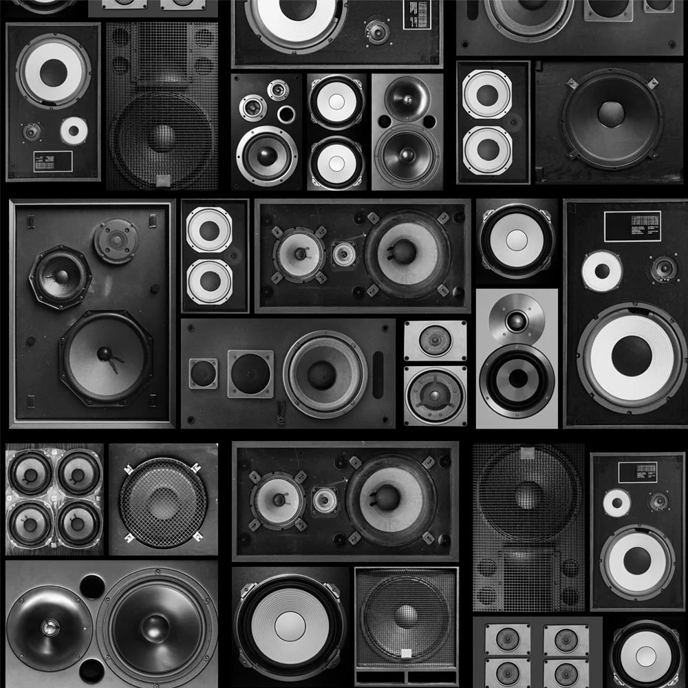 Wall of Sound Mural - Image 3