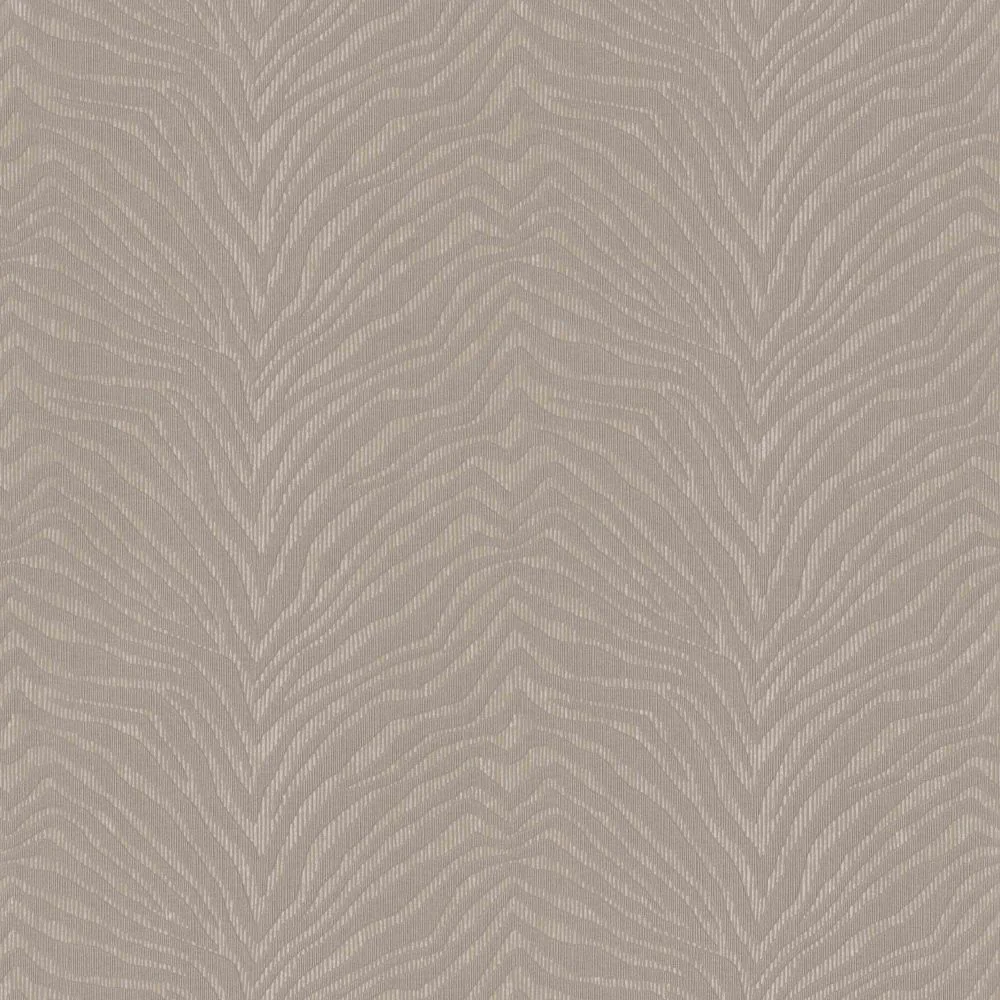 Zebra Crossing Wallpaper | 220532